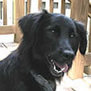 Roxanna was adopted in October, 2007